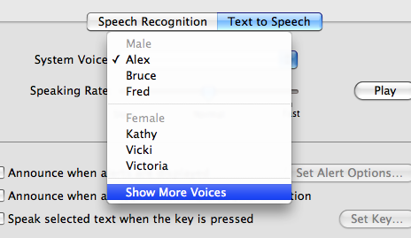 Speech System Preferences