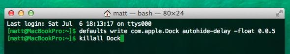 Screenshot: Terminal secret Dock delay setting
