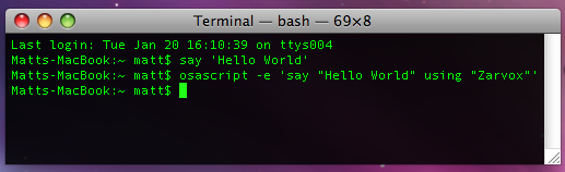 Terminal Text to Speech